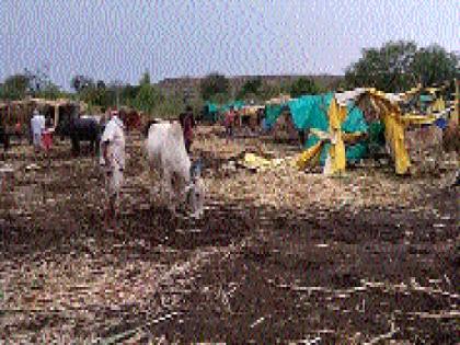 Heavy rain in Beed district; Hurry in the camps | बीड जिल्ह्यात गारांचा पाऊस; छावण्यांमध्ये धांदल