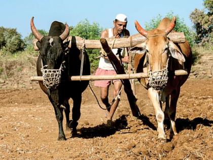 Delay in crop loan plan; Concerns among farmers in Chandrapur district | पीक कर्ज आराखड्यास विलंब; चंद्रपूर जिल्ह्यातील शेतकऱ्यांमध्ये चिंता