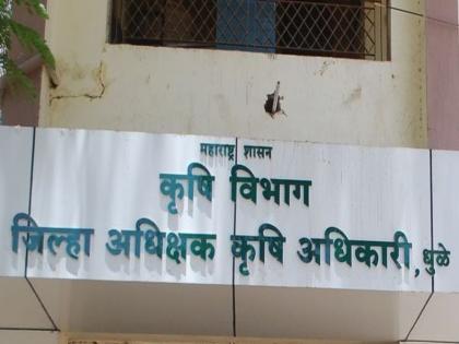 13 'Kharp' of insurance for Kharif crops in Dhule district | धुळे जिल्ह्यातील खरिपाच्या १३ पिकांना विम्याचे ‘कवच’ 13 'Kharp' of insurance for Kharif crops in Dhule district | धुळे जिल्ह्यातील खरिपाच्या १३ पिकांना विम्याचे ‘कवच’
