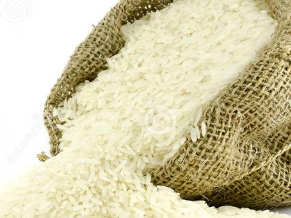 Only five bags produced of rice In Chandrapur district | चंद्रपूर जिल्ह्यात यंदा धानाचे एकरी उत्पन्न केवळ पाच पोती