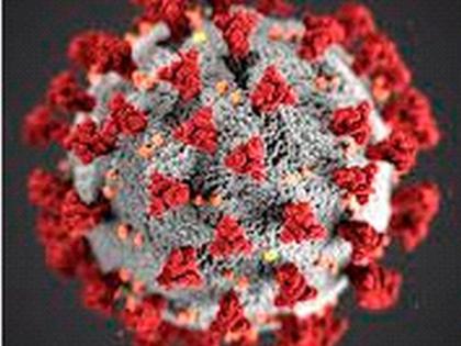 Corona infection in two in Sakri taluka | साक्री तालुक्यातील दोघांना कोरोना संसर्ग Corona infection in two in Sakri taluka | साक्री तालुक्यातील दोघांना कोरोना संसर्ग