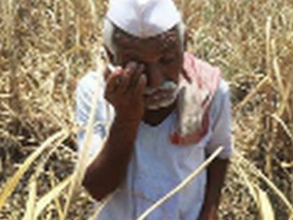 Farmers who pay regular loans | नियमित कर्ज फेड करणारे शेतकरी वंचीत Farmers who pay regular loans | नियमित कर्ज फेड करणारे शेतकरी वंचीत