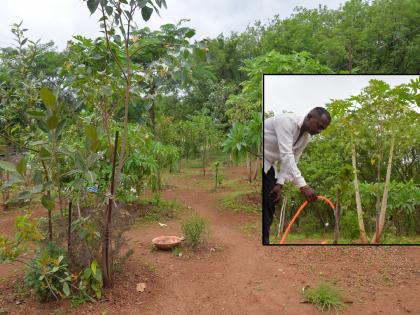 Environment Day Special Tree lovers planted a forest on five acres in Kolhapur, conservation of trees through public donations | पर्यावरण दिन विशेष: कोल्हापुरात वृक्षप्रेमींनी पाच एकरात फुलवली वनराई, लोकवर्गणीतून झाडांचे संवर्धन Environment Day Special Tree lovers planted a forest on five acres in Kolhapur, conservation of trees through public donations | पर्यावरण दिन विशेष: कोल्हापुरात वृक्षप्रेमींनी पाच एकरात फुलवली वनराई, लोकवर्गणीतून झाडांचे संवर्धन