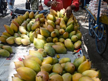 The market blossomed with the yellow totapuri | पिवळ्याधमक तोतापुरीने बाजार फुलला, कडधान्य, सरकी तेलाचे दर स्थिर