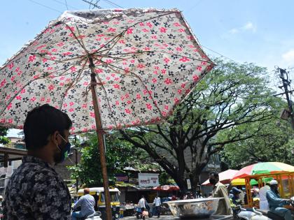 With the onset of the October heat in July, the crops thrived | जुलैमध्ये ऑक्टोबर हीटचा तडाका, पिकांनी माना टाकल्या