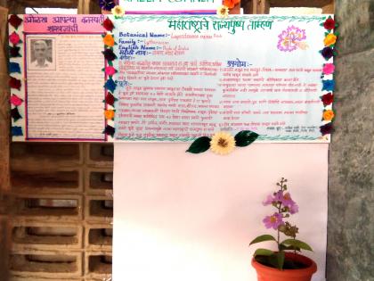 Kolhapur: Lessons of botanics to drop art and commerce students | कोल्हापूर : कला, वाणिज्यचे विद्यार्थी गिरवितात वनस्पतिशास्त्राचे धडे