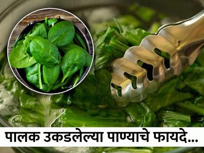 Spinach Water Benefits : Control BP, improve eye, skin and hair healthy you should know | पालक उकडून पाणी फेकण्याची करू नका चूक, या पाण्याचे फायदे वाचून व्हाल अवाक्...