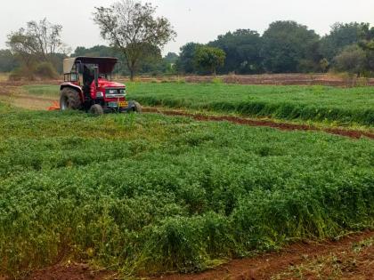 Rotavator rotated in an acre of fenugreek field as there was no price for vegetables | भाजीला दर नसल्याने एकरभर मेथीच्या शेतात फिरविला रोटावेटर