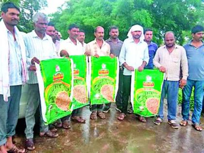 Mahabija's vinjota seed farmers' forerunners | महाबीजचे वांझोटे बियाणे शेतकऱ्यांच्या माथी