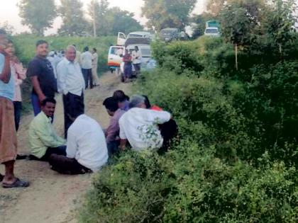 The 'Vaghini' camp in the cotton fields | ‘त्या’ वाघिणीचा कपाशीच्या शेतात डेरा