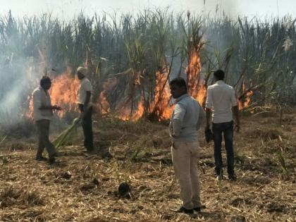 Sparking 12 acres of sugarcane | अंबाजोगाई तालुक्यातील पाटोदा शिवारात स्पार्किंगमुळे १२ एकर ऊस खाक