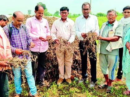 Farmers should register online for seeds on the MahaDBT portal | शेतकऱ्यांनी बियाण्यांसाठी महाडीबीटी पोर्टलवर ऑनलाईन नोंदणी करावी