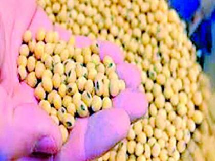 Seed germination capacity should be checked | बियाणांची उगवण क्षमता तपासावी Seed germination capacity should be checked | बियाणांची उगवण क्षमता तपासावी