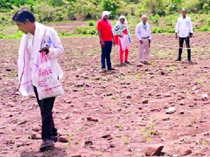 'Kho' of sown seeds to farmers | पेरलेल्या बियाण्यांचा शेतकऱ्यांनाच ‘खो’