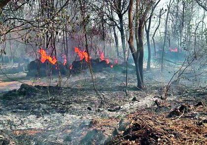 Fireball at Kadoli | कढोली येथे आगीचे तांडव