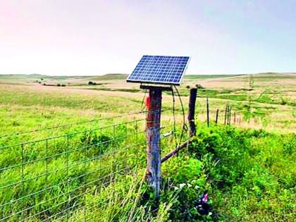 Wild boar at night, monkeys trouble during the day; They were stopped by a solar fence | रात्री रानडुक्कर, दिवसा वानरांचा त्रास; सोलार कुंपणाने अडविली त्यांची वाट