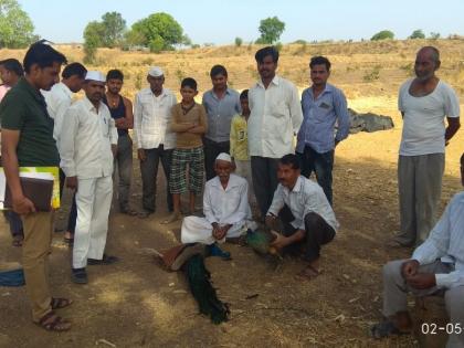 Two peacocks fall in the well in search of water | पाण्याच्या शोधात दोन मोरांचा विहीरीत पडून मृत्यू