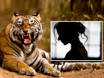 Girlfriend ran away with boyfriend in the name of tiger in Bahraich UP | प्रियकरासोबत पळून गेली होती प्रेयसी, बदनाम झाला बिचारा वाघ; जाणून घ्या काय आहे भानगड