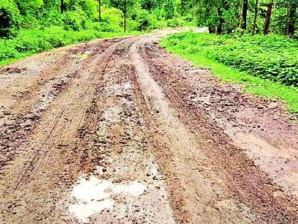 Bhamragad-Tadgaon road muddy | भामरागड-ताडगाव मार्ग चिखलमय