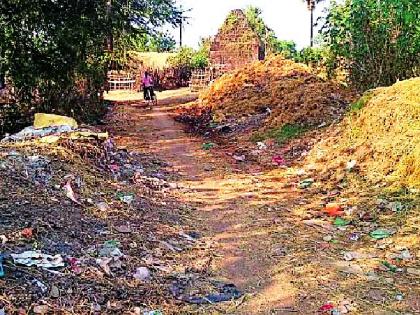 Vairagadat cleanliness campaign | वैरागडात स्वच्छता अभियानाचा फज्जा