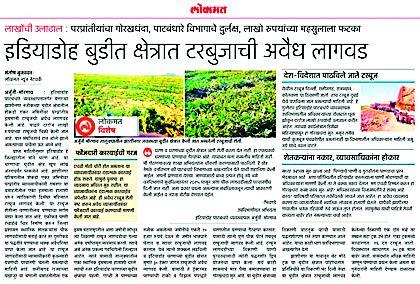 The nominal penalty for illegal planting of watermelon | टरबूजची अवैध लागवड करणाऱ्यावर नाममात्र दंड