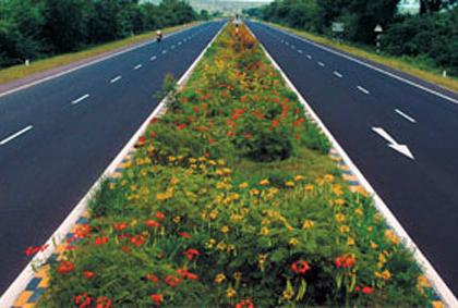 112 roads will have new look | ग्रामीण भागातील ११२ रस्त्यांचे उजळणार भाग्य!