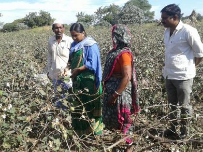 Panchnemas in progress | पंचनामे प्रगतिपथावर