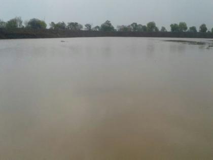  Melamares percolation pond first rain! | कळमसरे पाझर तलाव पहिल्याच पावसात तुडूंब !