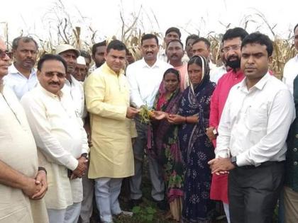 Guardian Minister, MLA and Officer Farmer | पालकमंत्री, आमदार आणि अधिकारी शेतक:यांच्या बांधावर Guardian Minister, MLA and Officer Farmer | पालकमंत्री, आमदार आणि अधिकारी शेतक:यांच्या बांधावर