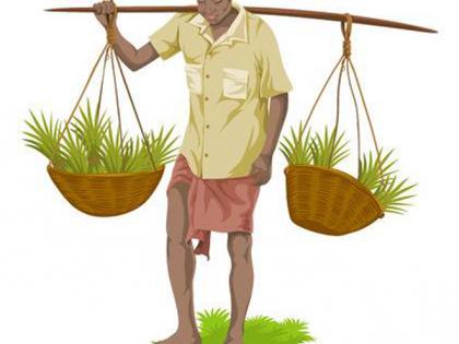 17 thousand eligible farmers for debt restructuring | कर्ज पुनर्रगठणासाठी 17 हजार शेतकरी ठरणार पात्र 17 thousand eligible farmers for debt restructuring | कर्ज पुनर्रगठणासाठी 17 हजार शेतकरी ठरणार पात्र