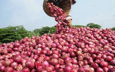 Tomatoes fell ... onion flattened! | टोमॅटो उतरला... कांदा भडकला !