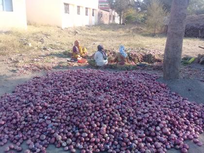  Havalil onion producer of Yeola taluka | येवला तालुक्यातील कांदा उत्पादक हवालदिल