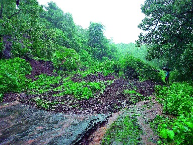 Most roads in Peth taluka are closed | पेठ तालुक्यातील बहुतेक रस्ते बंद