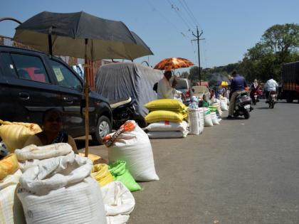  Summer fanfare in the area with mesh | मेशीसह परिसरात उन्हाळ्याची चाहूल