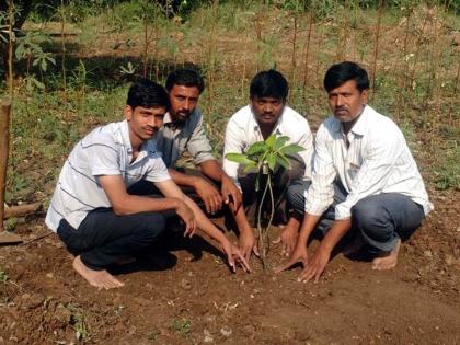 Planting mango trees in the funeral | अंत्यविधीच्या राखेत लावली आंब्याची झाडे