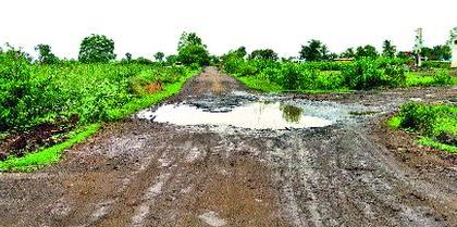 The first rain was observed by the roads | पहिल्याच पावसात रस्त्यांची झाली चाळणी