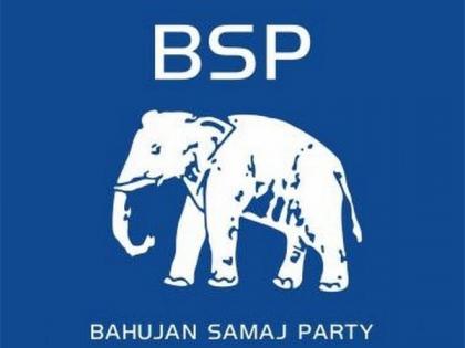 Leadership lead, who is the BSP? | वंचित आघाडी, बसपाचा फटका कोणाला?