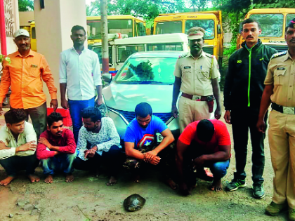 Five people were arrested for smuggling turtles | कासवाची तस्करी करणाऱ्या टोळीतील पाचजण अटकेत