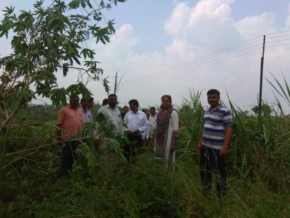 Rainfall caused by storms, storm winds | पाऊस, वादळी वाऱ्यामुळे झालेल्या नुकसान पंचनामे