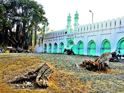 'Smugglers' organized by smugglers: Mandap's garden department, tree-plantation slaughterhouse on 'ignorant' Idgah | तस्करांनी चालविला ‘कटर’ : मनपाच्या उद्यान विभागासह वृक्षप्राधिकरण समिती अनभिज्ञ ‘ईदगाह’वरील वटवृक्षांची कत्तल