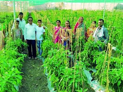 On the way to the farming of the loss, | तोट्यातील शेती आणली नफ्याच्या वाटेवर