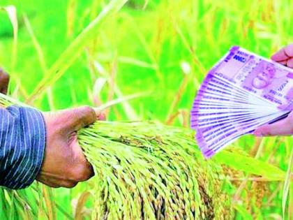 Concern of farmers in the district increased by the improved percentage | सुधारित पैसेवारीने वाढविली जिल्ह्यातील शेतकऱ्यांची चिंता