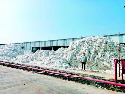 For the first time in 50 years, cotton jumped to tens of thousands | 50 वर्षांत पहिल्यांदाच कापसाची दहा हजारांवर उडी