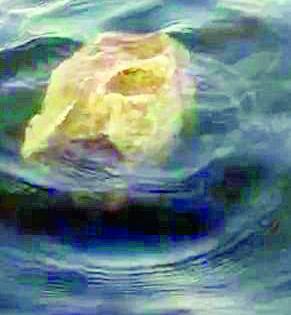 A stone of about five kilos started floating on the water | चक्क पाच किलाेचा दगड पाण्यावर तरंगायला लागला