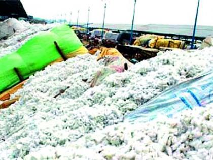 Farmers relieved by cotton price hike | कापसाच्या दरवाढीमुळे शेतकऱ्यांना मिळाला दिलासा