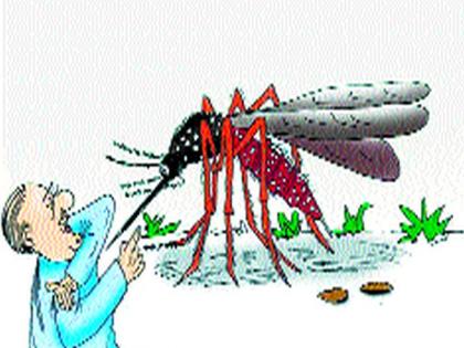  Panchavati grew in the incidence of mosquitoes | पंचवटीत वाढला डासांचा प्रादुर्भाव