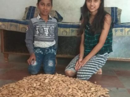 Inspirational: Ten year old children have collected two thousand seeds | प्रेरणादायी: दहा वर्षीय बालकाने केले दोन हजार बीज संकलन व रोपण