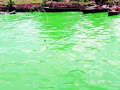 The secret of green water in Chandrapur district will be evacuated after eight days | आठ दिवसांनी उलगडणार चंद्रपूर जिल्ह्यातील हिरव्या पाण्याचे रहस्य