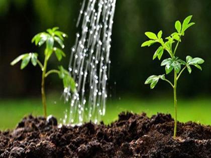 Guardianship of trees accepted by the students of Agricultural College, Dhule | धुळे येथील कृषी महाविद्यालयाच्या विद्यार्थ्यांनी स्वीकारले झाडांचे पालकत्व Guardianship of trees accepted by the students of Agricultural College, Dhule | धुळे येथील कृषी महाविद्यालयाच्या विद्यार्थ्यांनी स्वीकारले झाडांचे पालकत्व
