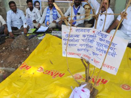 Agitators rage against Chief Forester | मुख्य वनसंरक्षकांविरोधात आंदोलकांचा संताप